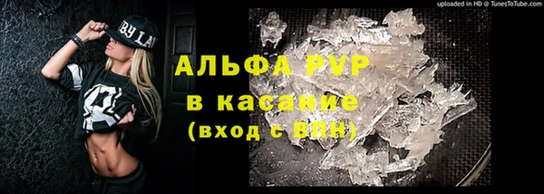 винт Аркадак