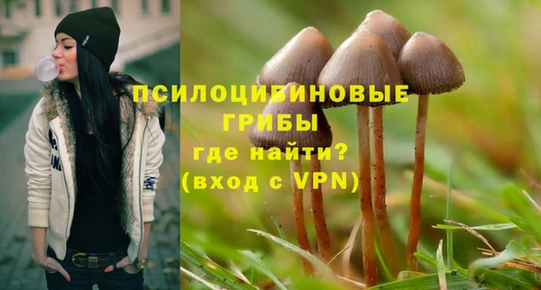 не бодяженный Арсеньев
